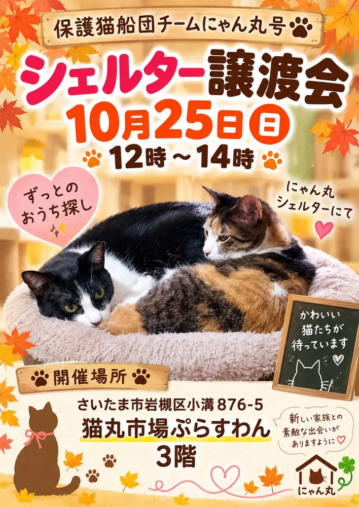 【イベントやります！】の画像